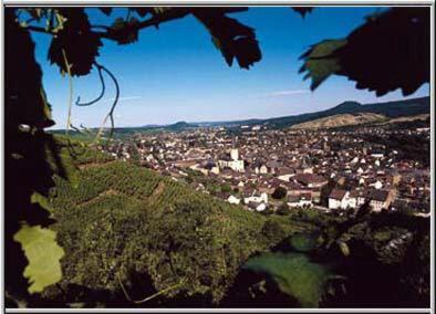 Hotel Rhein Inn Remagen Εξωτερικό φωτογραφία